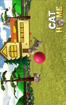 Cat Home : Kitten Daycare & Kitty Care Hotel游戲截圖4