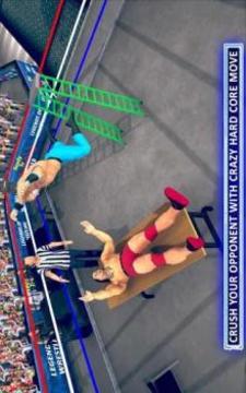 World Wrestling Revolution Mania Real Stars fight游戲截圖4