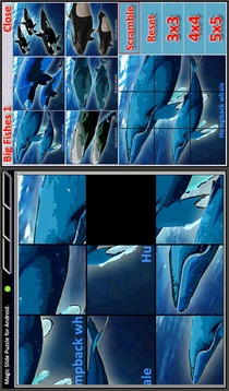 Magic Slide Puzzle B Fishes 1游戲截圖1