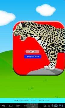 Zoo Animals Match Free游戲截圖1