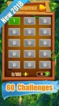 Terris Block Puzzle Classic游戲截圖2