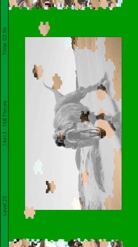 Dinosaur Puzzle游戲截圖3