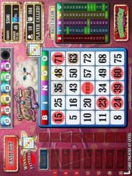 Glamour Puss Bingo Kitty Cash Cats FREE游戲截圖5