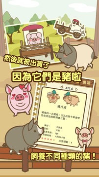 養(yǎng)豬場游戲截圖3