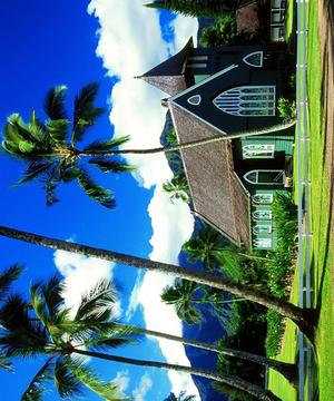 Hawaii Island Jigsaw Puzzles游戲截圖2