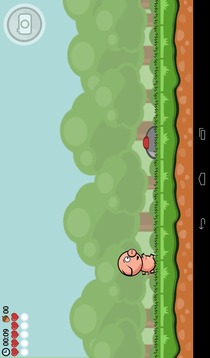 Run Pig Run!游戲截圖2