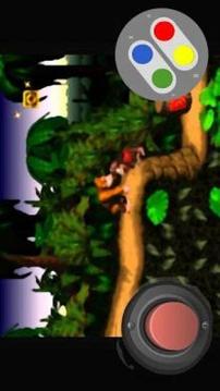 SNES Dnkey Kong Adventure游戲截圖2