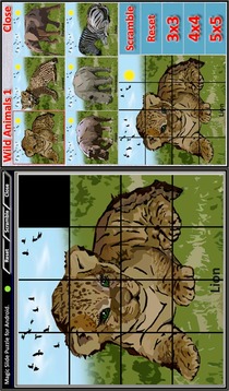 Magic Slide Puzzle W.Animals 1游戲截圖2