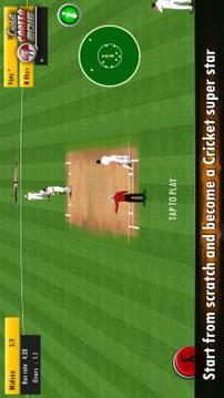 Cricket Career 2016游戲截圖4
