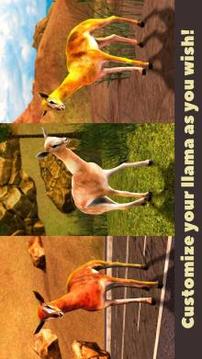 Llama Wild Life Simulator 3D游戲截圖4