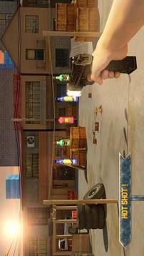 Bottle Shoot 3D Game Expert游戲截圖4