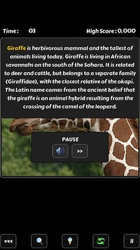 Tap Puzzle Animals游戲截圖5