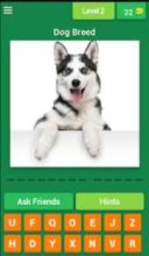Popular Dog Breeds Quiz游戲截圖4