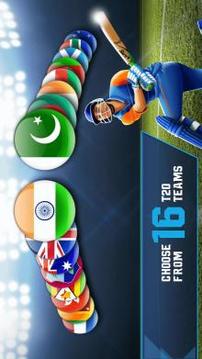 Cricket T20-Multiplayer Game游戲截圖2