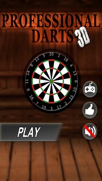 Professional Darts 3D游戲截圖1