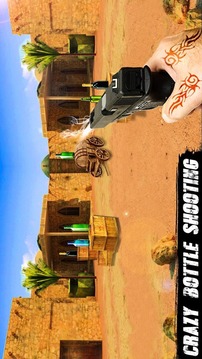 VR Real Bottle Shooting游戲截圖4