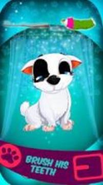 Puppy Wash And Care游戲截圖4