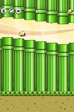 Quacky - The Best Bird Game游戲截圖4