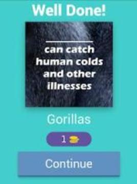 Fun Animal Facts游戲截圖5