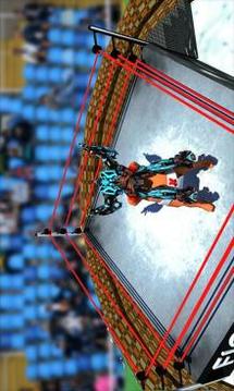 Real robot Ring Sumo Wrestling Revolution Battle游戲截圖1