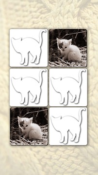 Memory Games free: Cute Cats游戲截圖4