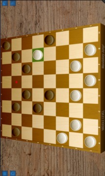 Checkers Pro (Dames)游戏截图3