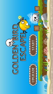 Golden Bird, Escape!游戲截圖1
