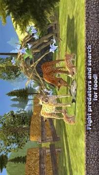 Lynx Family Wildlife Survival Simulator游戲截圖4