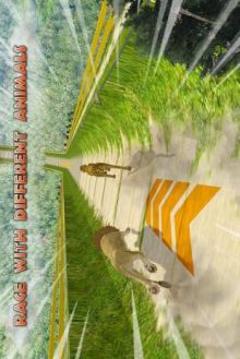 Wild Animal: Extreme Ramp Racing游戲截圖4