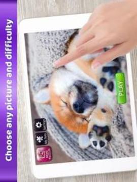 Puppies Jigsaw Puzzles - Free Puzzle games游戲截圖2