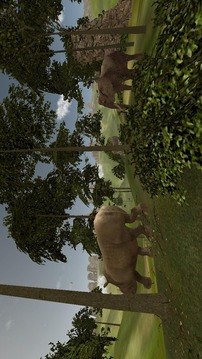 VR Forest Animals Adventure游戲截圖3