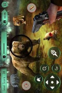 Animal hunting wild bear Sniper Shooter游戲截圖3