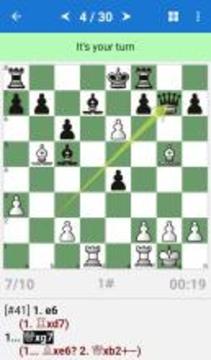 Chess Middlegame V游戲截圖1
