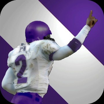 Minnesota Football游戲截圖2