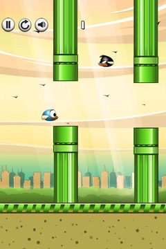 Quacky - The Best Bird Game游戲截圖3
