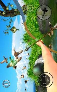 Wild Animal Archery Hunter Bird Shooting Game游戲截圖5