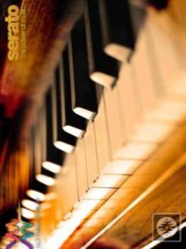 Best Organ Spectacular 2018游戲截圖5