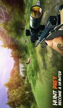 Ultimate Hunting Animal Sniper Shooting游戲截圖4