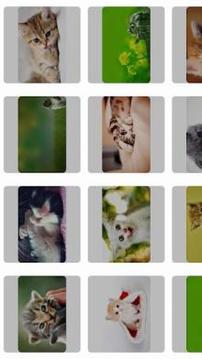 Kittens Funny Puzzle游戲截圖4