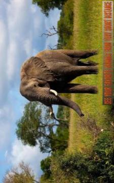 參觀動物叢林探險游戲截圖3