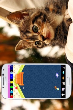 猫电子鸡的虚拟宠物游戏截图2