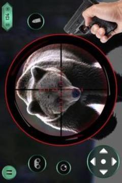 Animal hunting wild bear Sniper Shooter游戲截圖1
