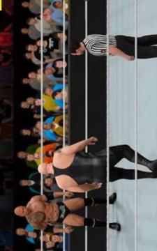 Total Action Insanity Wrestling Videos游戲截圖2