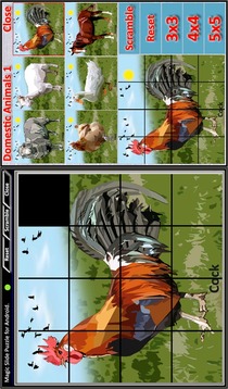 Magic Slide Puzzle D.Animals1游戲截圖4