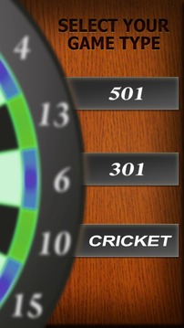 Professional Darts 3D游戲截圖4