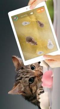 Cat Games, Mouse游戲截圖2