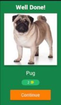 Popular Dog Breeds Quiz游戲截圖5