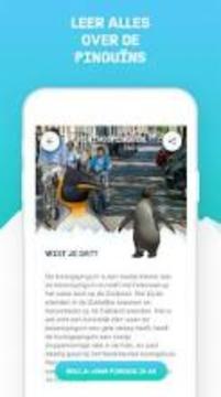 Koning Pingu?n - Greenpeace AR游戲截圖1