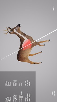 3D模擬狩獵游戲截圖3