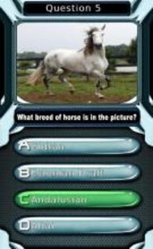 My Horse & Pony Breeds Quiz HD游戲截圖4